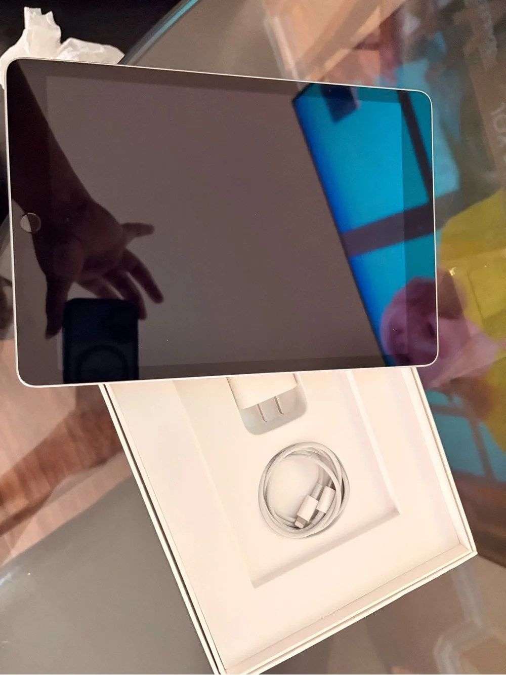 Apple iPad - Silver/White Back